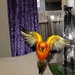 Fairy parrot by alia_801