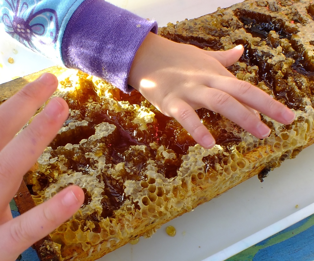 Hands on honeycomb by kiwinanna