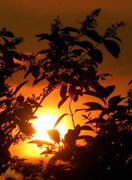 5th Jun 2013 - Warm Sunset