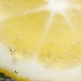 Lemon Twist by wenbow