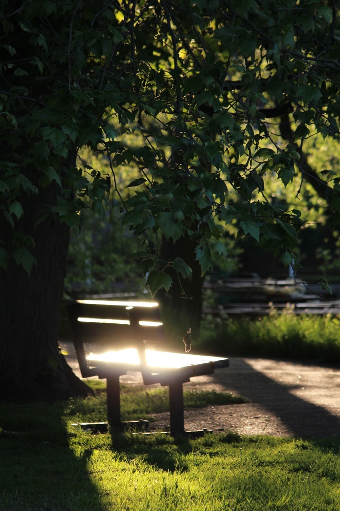 Seat in the spotlight by judithg