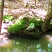 Wells Maine stream by dorim
