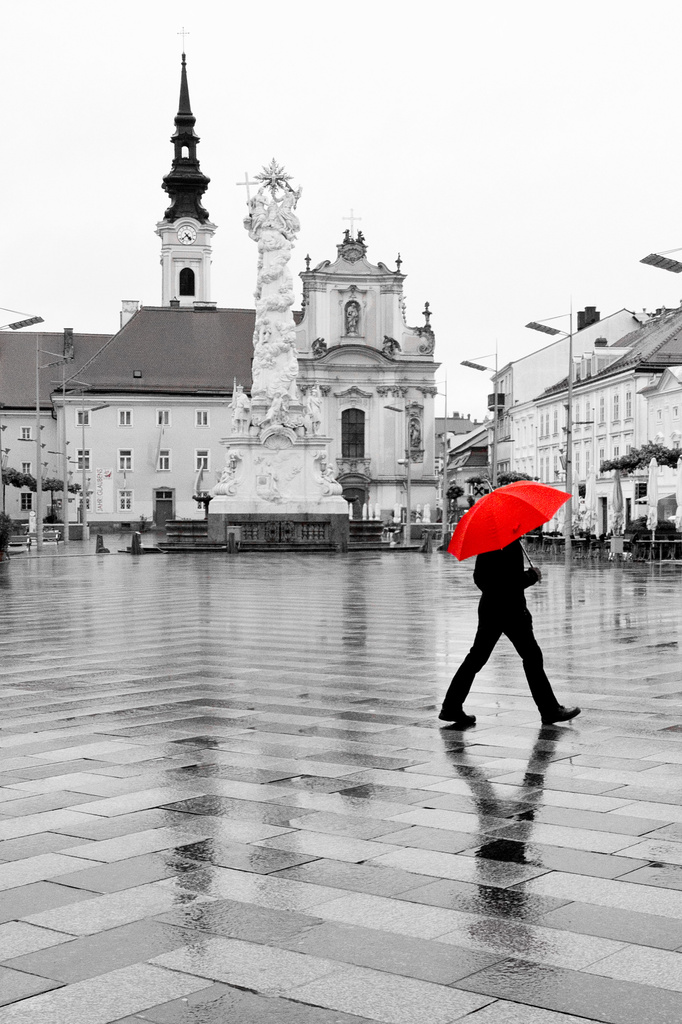 Day 155 - Austrian Umbrella by stevecameras