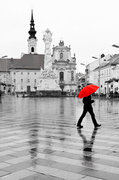 4th Jun 2013 - Day 155 - Austrian Umbrella