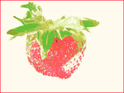 2nd Jun 2013 - Strawberry in Cream