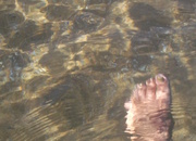 4th Jan 2013 - Cool clear water!