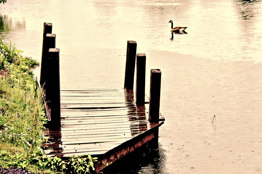 Long Walk On A Short Pier by digitalrn