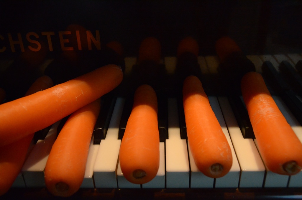 Musical Carrots by yaorenliu