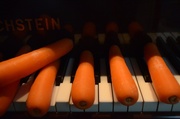 8th Jun 2013 - Musical Carrots