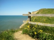 8th Jun 2013 - walking the cliff path from Eype to West Bay