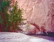 8th Jun 2013 - Pink wall