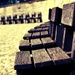Little chairs all in a row by bella_ss