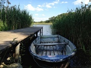 8th Jun 2013 - Lake & Rowing Boat