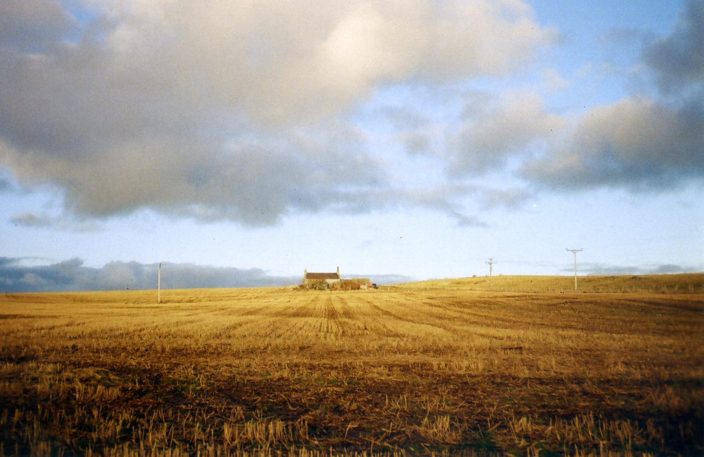 house in field by ingrid2101