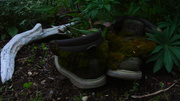 8th Jun 2013 - Gardening Boots