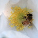 Bee in my bonnett.... by jankoos