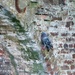 Pigeon on a wall by mattjcuk