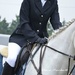 At the Show jumping by parisouailleurs