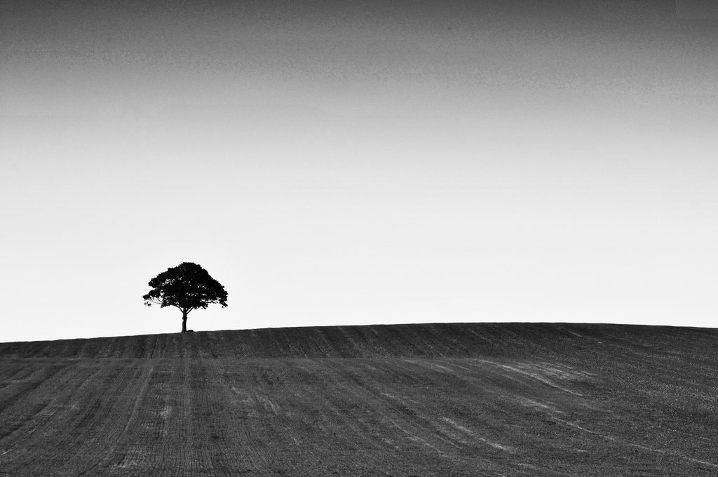 One Tree Hill ~ 3 by seanoneill