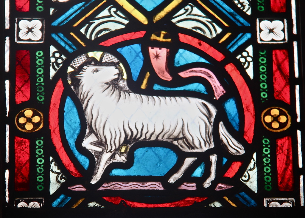 Lamb of God by daffodill