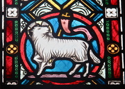 5th Jun 2013 - Lamb of God