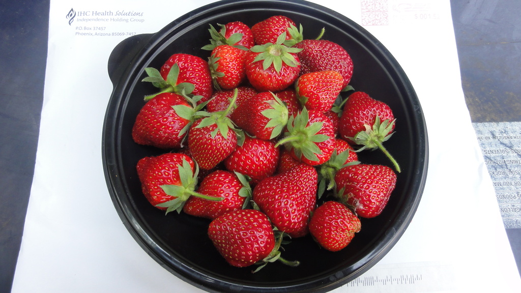 Day 6 Healthy Strawberries by rminer