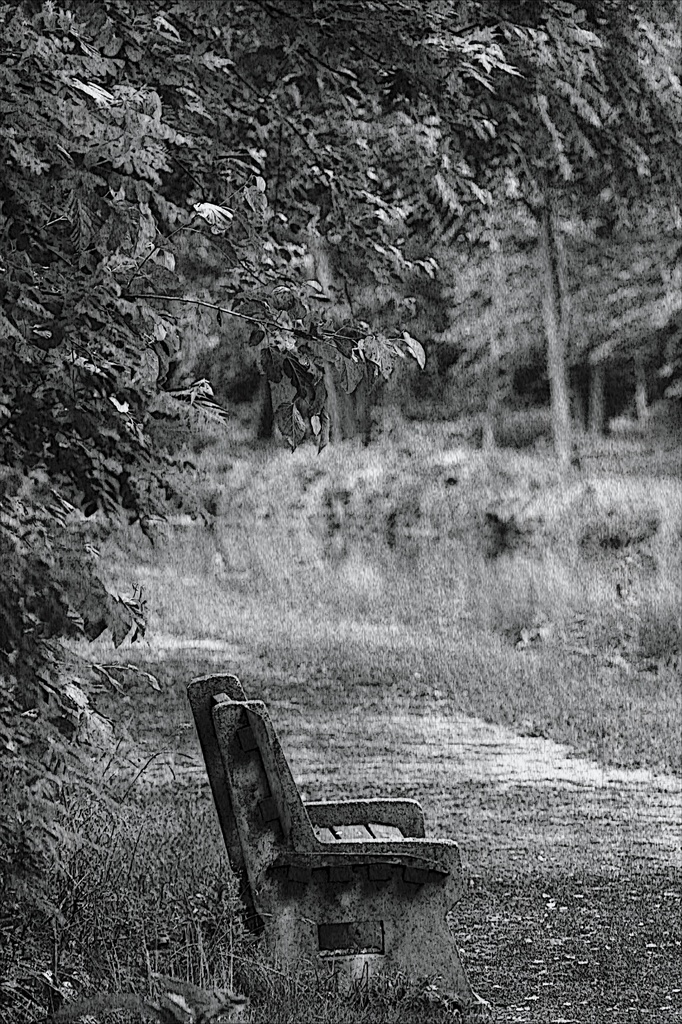 A Walk In The Rain by digitalrn