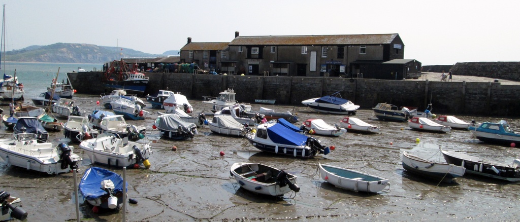  low tide at The Cobb at Lyme Regis by quietpurplehaze