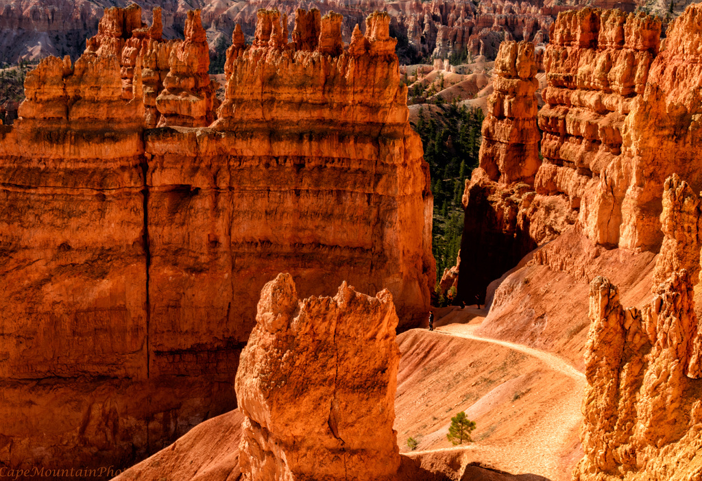 Path Through Bryce Canyon Hoodoos by jgpittenger