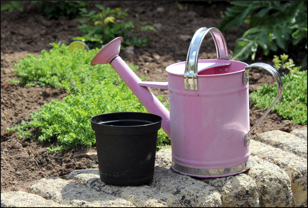 A shiny watering can and a dull plant pot by phil_howcroft