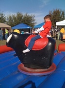 13th Nov 2012 - Ride 'em Cowboy!