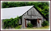 10th Jun 2013 - Old Barn