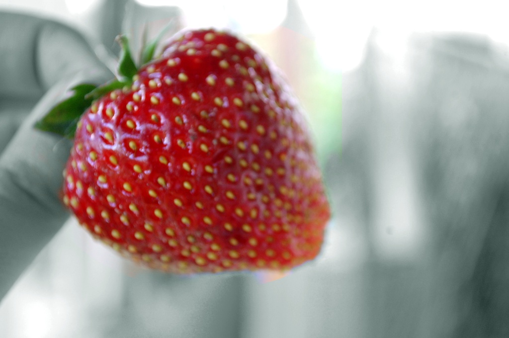 Strawberry dream by pavlina