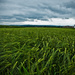 Day 157 - Austrian Storm Brewing by stevecameras