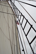 10th Jun 2013 - Up the Sails