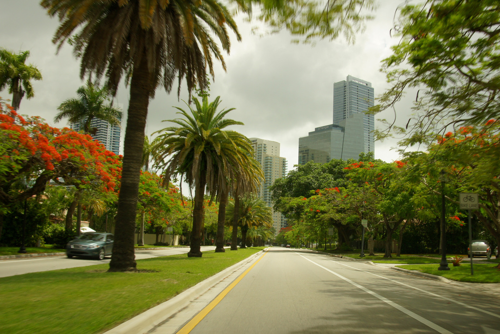 Historic Miami Avenue by danette