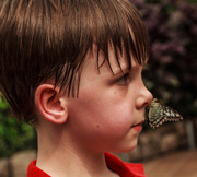 13th Jun 2013 - Owen and the Flutterby