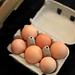 Farm Fresh Eggs! by steelcityfox