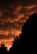 13th Jun 2013 - After the Storm #3 (From the Bird House, of course)