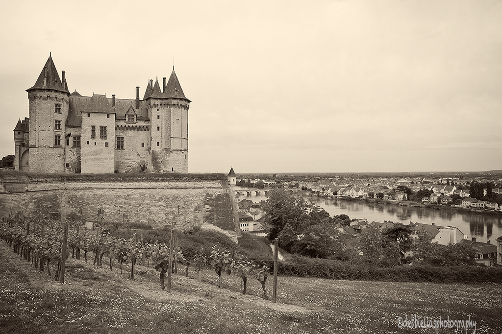 8.6.13 Chateau de Saumur by stoat