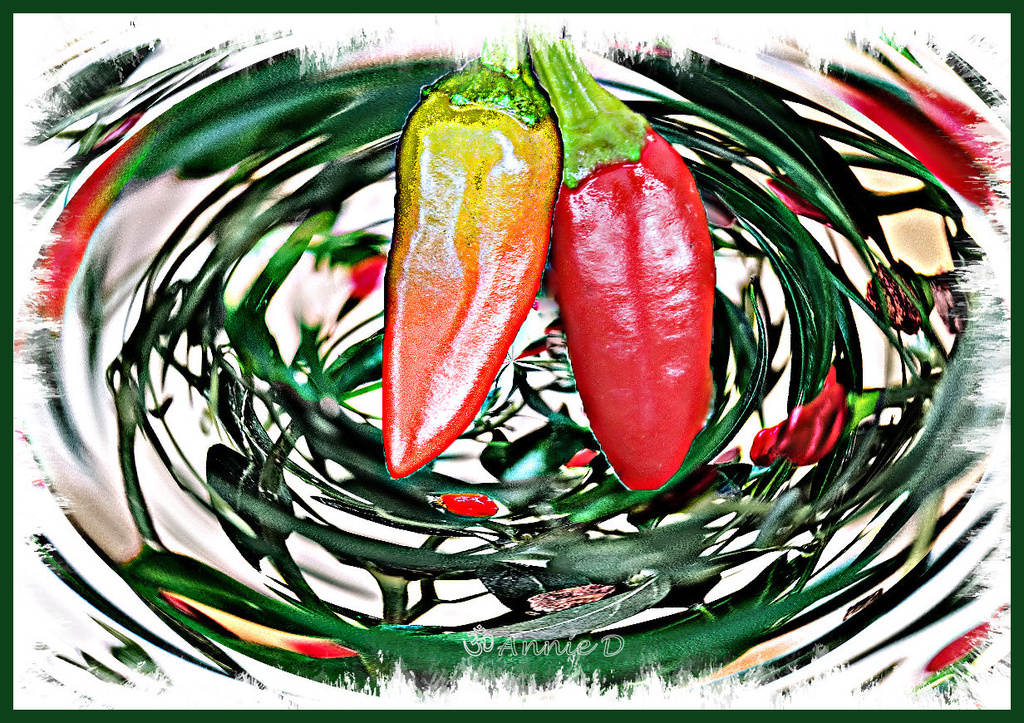 Chillies by annied