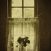 kirbuster window by ingrid2101