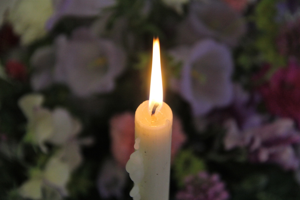 Evening Prayer by daffodill