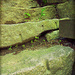 Steps Not Taken by kevin365