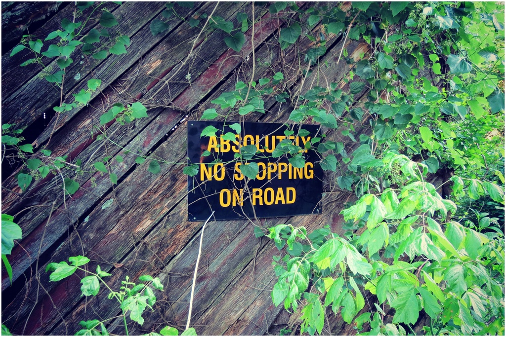ABSOLUTELY NO STOPPING ON ROAD by juliedduncan