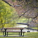 parkbench by sugarmuser