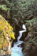 16th Jun 2013 - Avalanche Creek Cascade