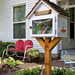 Day 164:  Little Free Library by lisabell