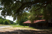 15th Jun 2013 - Abandoned farmstead, rural South Carolina