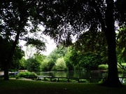 12th Jun 2013 - Vernon Park